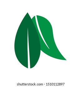 Double leaf organic logos - vector