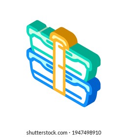 double lunchbox isometric icon vector. double lunchbox sign. isolated symbol illustration