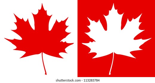 Double maple leaf silhouette on a contrast  background. EPS10 vector illustration.