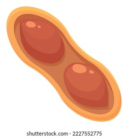 Double peanut icon cartoon vector. Butter caramel. Cream food