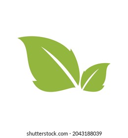 double sided leaf vector with different shape and green color