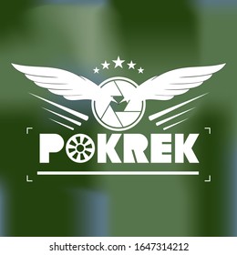 double wings and five stars with camera vintage logo