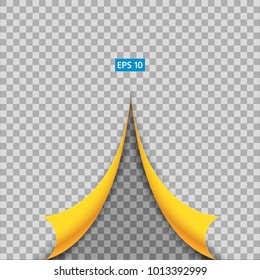 Double yellow flipped side on transparent background