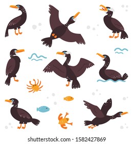 Double-crested cormorant on a white isolated background. Children's pictures.