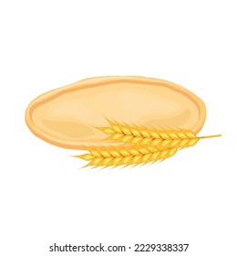 dough flour spikelet cartoon. wheat food, bread organic, pastry powder, raw healthy, culinary cereal, cooking dough flour spikelet vector illustration