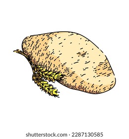 Teigküche handgezeichnet. Pizzabrot, Mehlspeise, hausgemachte frische Weizenbäckerei, Küchenchef, Vektorgrafik. einzelne Farbgrafik