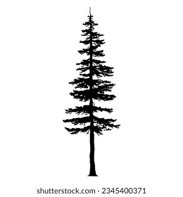 Silueta de árbol Douglas Fir. Ilustración del vector