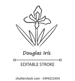 Douglas iris plant linear icon. California blooming wildflower with name. Garden flower. Iris douglasiana. Spring blossom. Thin line illustration. Vector isolated outline drawing. Editable stroke