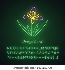 Douglas iris plant neon light icon. California blooming wildflower with name inscription. Garden flower, weed. Iris douglasiana. Glowing sign with alphabet, numbers. Vector isolated illustration