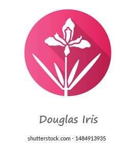 Douglas iris plant pink flat design long shadow glyph icon. California blooming wildflower. Garden flower, weed. Iris douglasiana inflorescence. Spring blossom. Vector silhouette illustration