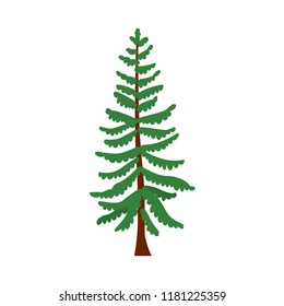 Douglas Fir Christmas Tree Images, Stock Photos & Vectors | Shutterstock