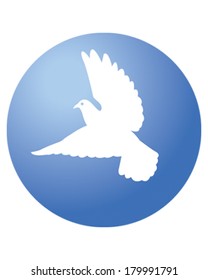 Dove