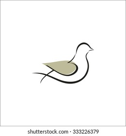 Dove