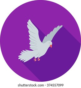 Dove