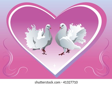 dove