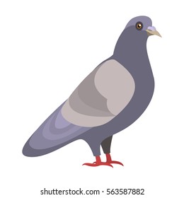dove