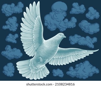 Dove among the clouds. Editable hand drawn illustration. Vector vintage engraving. 8 EPS