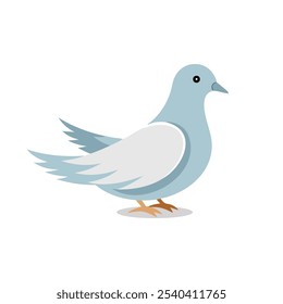 
Dove animal isolated flat vector illustration on white background