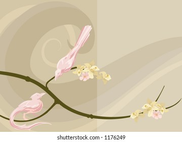 Dove background