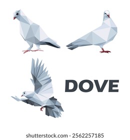 Dove Bird Animal in Polygonal Logo Vector. Collection Low Poly Graphic Vector of flying Dove. Abstract Triangle Logo set of Dove