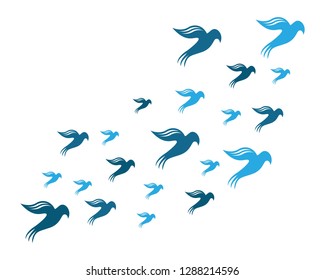 Dove bird background concept 