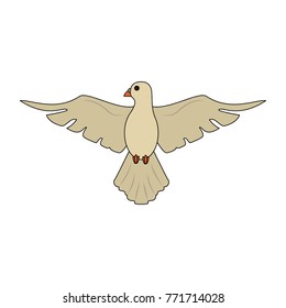 Dove bird cartoon