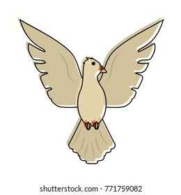 Dove bird cartoon
