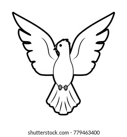 Dove bird cartoon