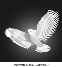 Dove bird .Eps10.