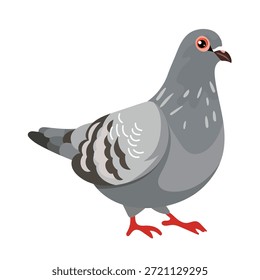Dove bird. Flat vector clipart, illustration with isolated background.