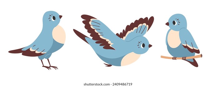 Dove bird flies with its wings spread, sitting on branch. Blue birdie standing and looking away. Vector flat illustration set.