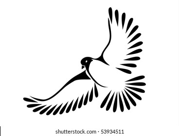 Dove or bird in flight