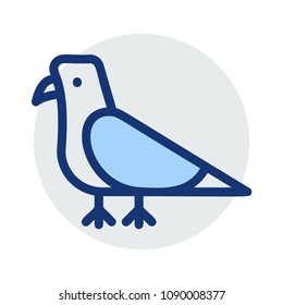 dove bird fly 