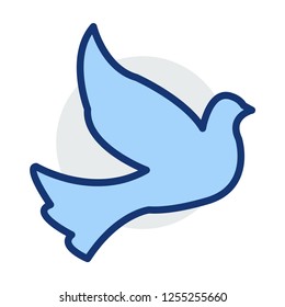 dove  bird  fly 
