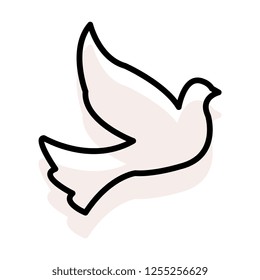 dove  bird  fly 