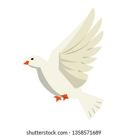 Dove bird flying cartoon