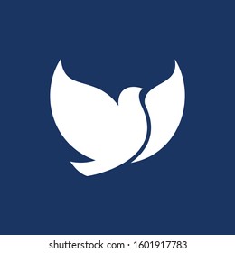 Dove bird flying to the sky