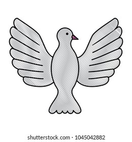 dove bird icon