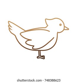 dove bird icon