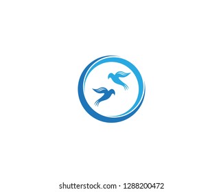 Dove bird icon vector illustration