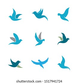 Dove bird icon vector illustration design