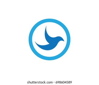 Dove  bird logo and symbols