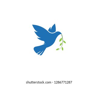 Dove bird Logo Template vector illustration