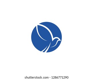 Dove bird Logo Template vector illustration