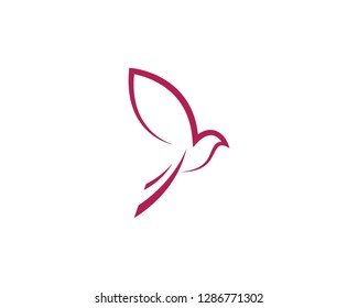 Dove bird Logo Template vector illustration