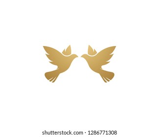 Dove bird Logo Template vector illustration