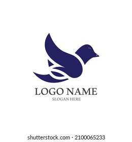 Dove bird logo vector design illustration