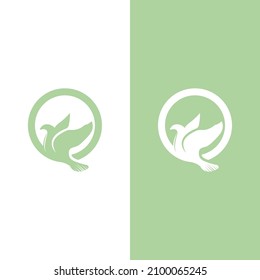 Dove bird logo vector design illustration