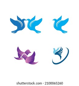 Dove bird logo vector design illustration