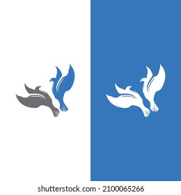 Dove bird logo vector design illustration
